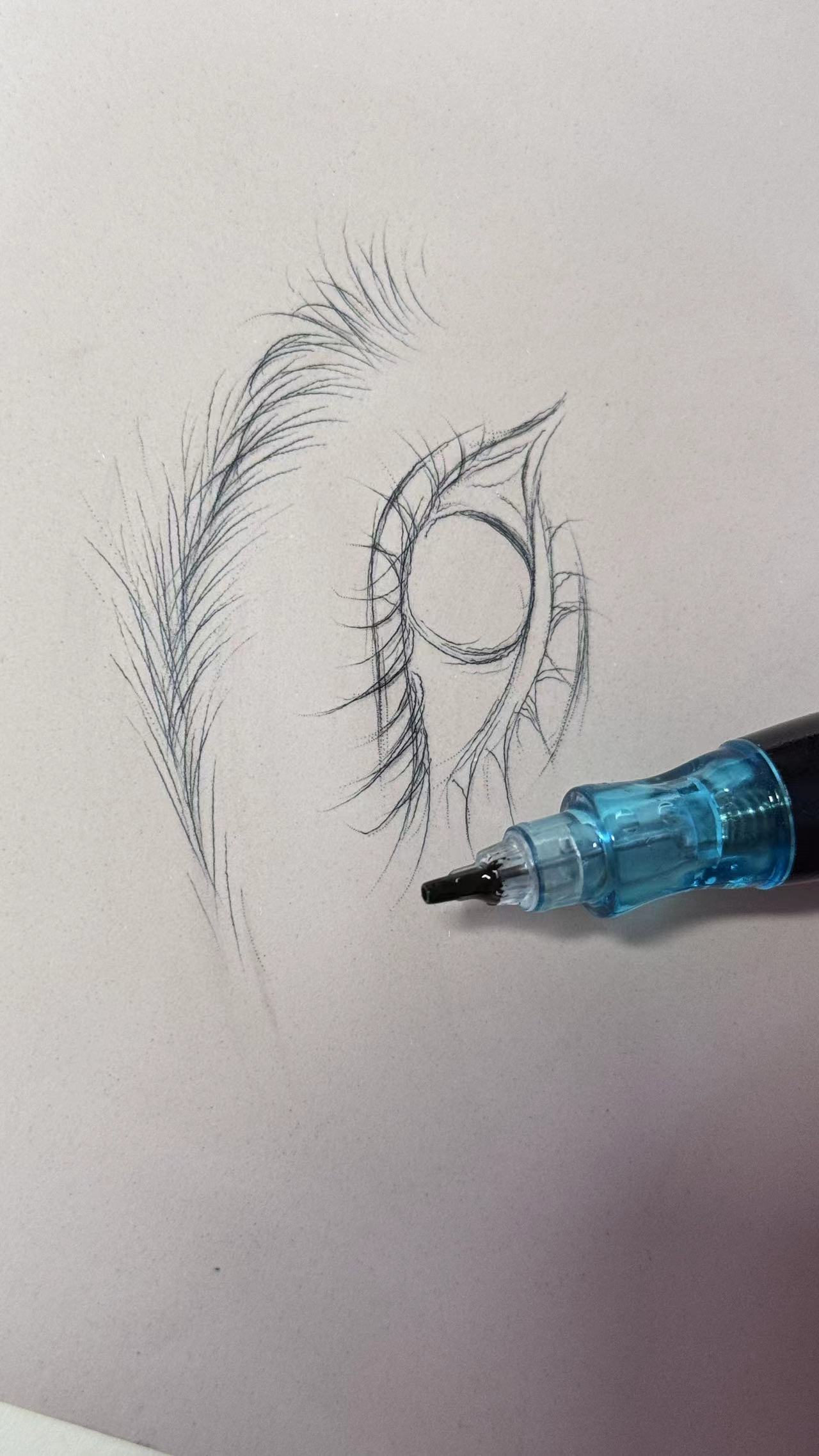 Sketch